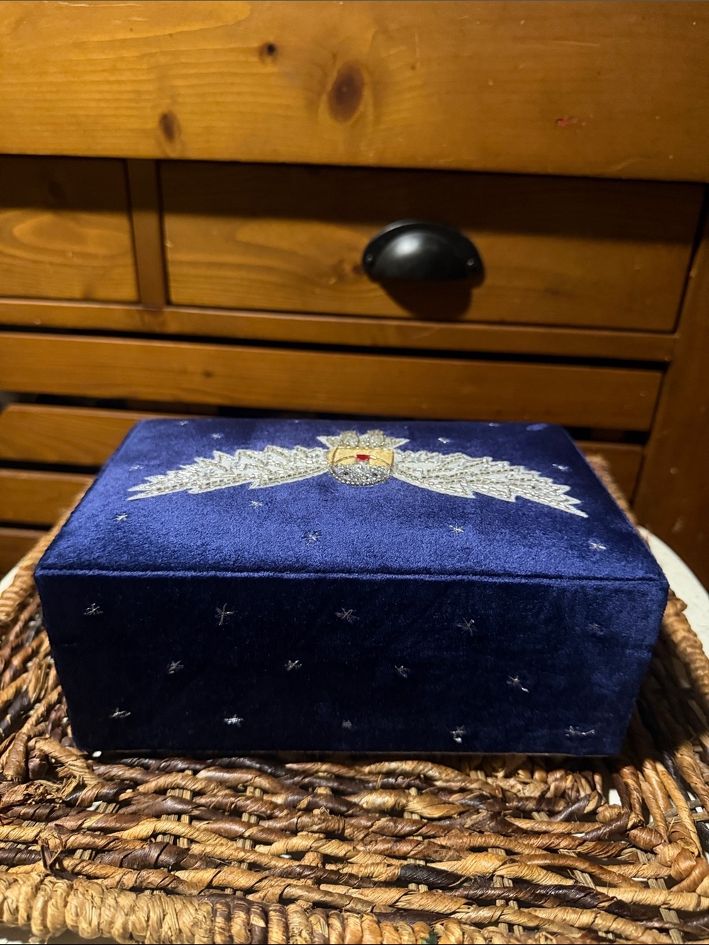 Pottery Barn Teen Harry Potter Hedwig Beaded Velvet Jewelry Box - Picture 5 of 10
